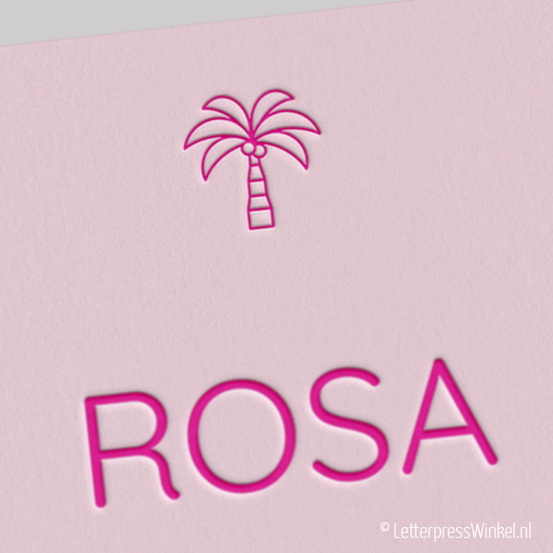 Rosa WEB 2