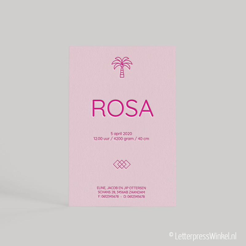 Rosa WEB